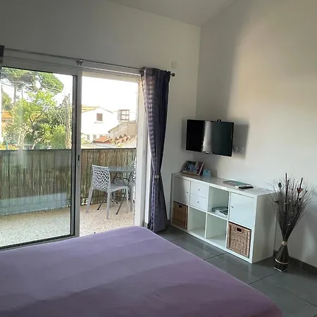 公寓 A 400 M Confort Terrasse Clim Parking *