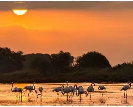 A 400 M Confort Terrasse Clim Parking 耶尔