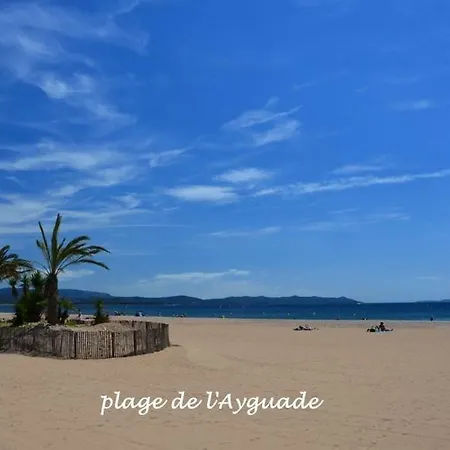 A 400 M Confort Terrasse Clim Parking 公寓 耶尔